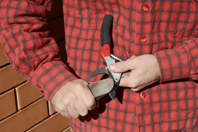 Sharpen Garden Shears: Effective DIY Methods for Optimal Cutting