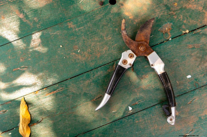 Sharpen Garden Shears: Effective DIY Methods for Optimal Cutting
