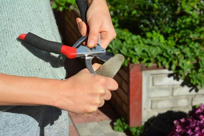 Sharpen Garden Shears: Effective DIY Methods for Optimal Cutting