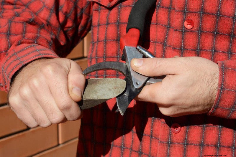 Sharpen Garden Shears: Effective DIY Methods for Optimal Cutting