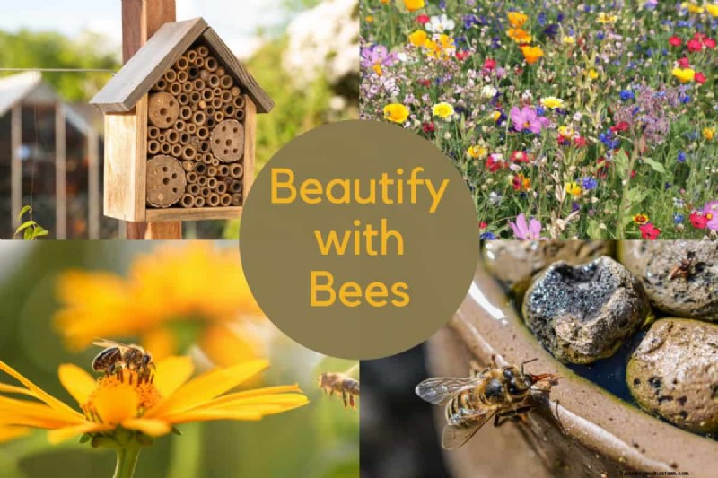 Attract Pollinators & Enhance Your Garden: Bee-Friendly Plants & Products