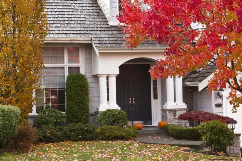 Fall Planting Guide: What to Plant Now for a Bountiful Harvest