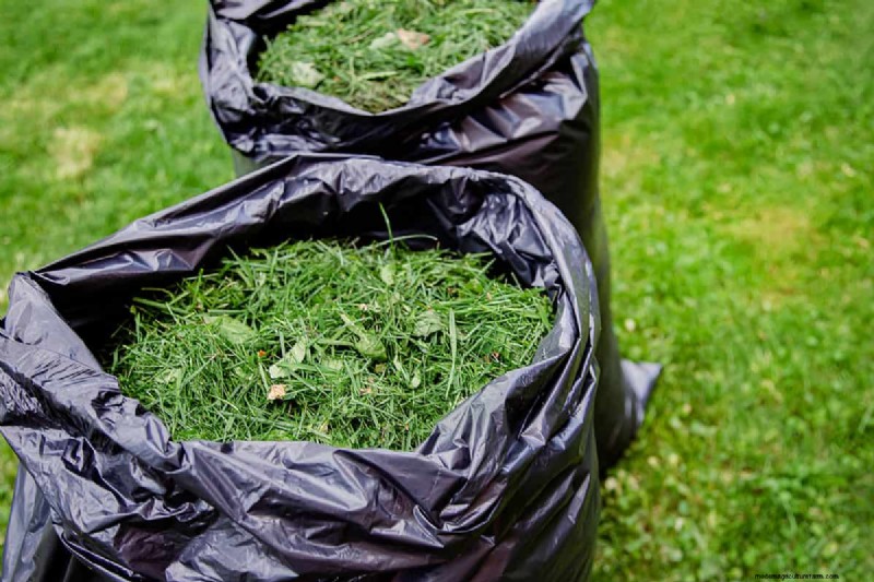 Fall Planting Guide: What to Plant Now for a Bountiful Harvest