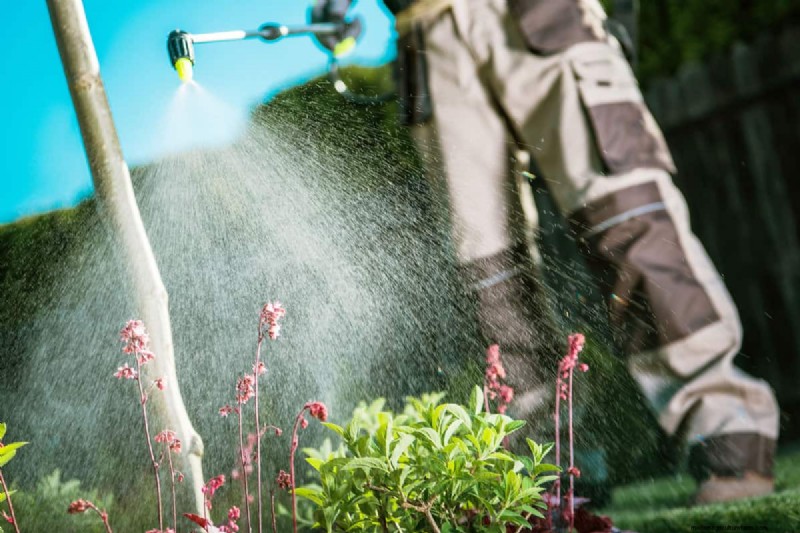 Fall Planting Guide: What to Plant Now for a Bountiful Harvest
