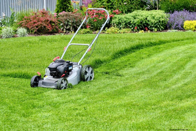 Kobalt vs. Ryobi Mowers: A Comprehensive Comparison (2024)