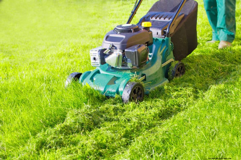 Kobalt vs. Ryobi Mowers: A Comprehensive Comparison (2024)