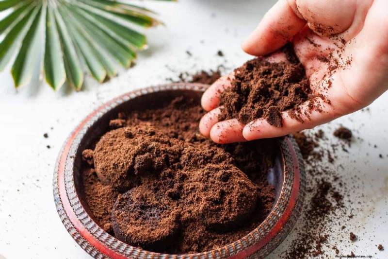 Coffee Grounds in the Garden: Avoid These 3 Common Mistakes