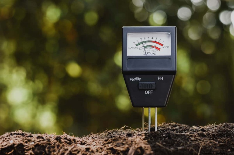 Coffee Grounds in the Garden: Avoid These 3 Common Mistakes