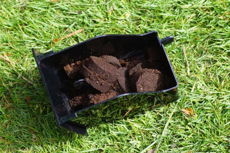 Coffee Grounds in the Garden: Avoid These 3 Common Mistakes