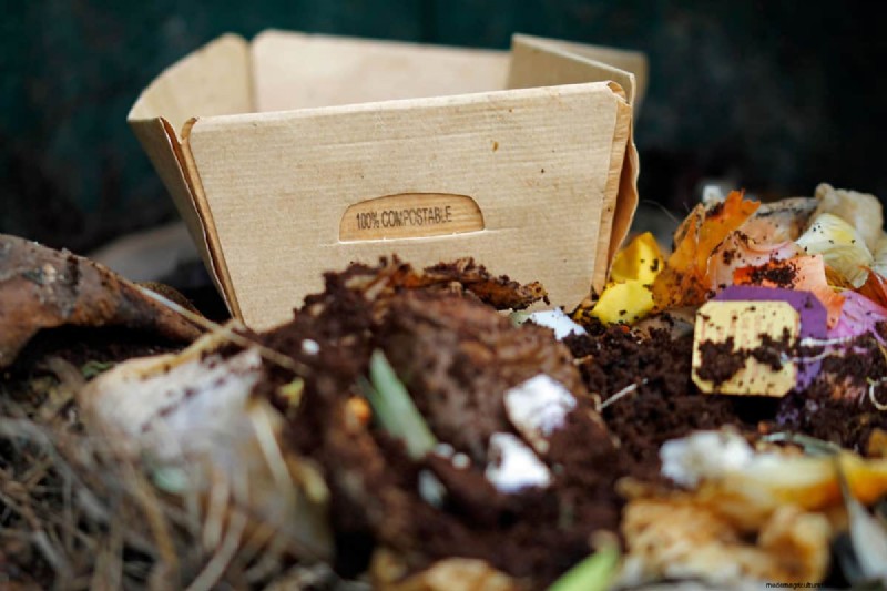 Coffee Grounds in the Garden: Avoid These 3 Common Mistakes