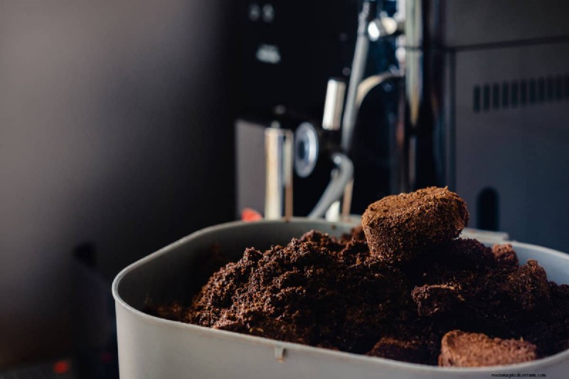 Coffee Grounds in the Garden: Avoid These 3 Common Mistakes