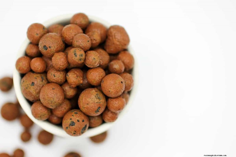Mixing LECA and Soil: A Guide to Balanced Plant Growth