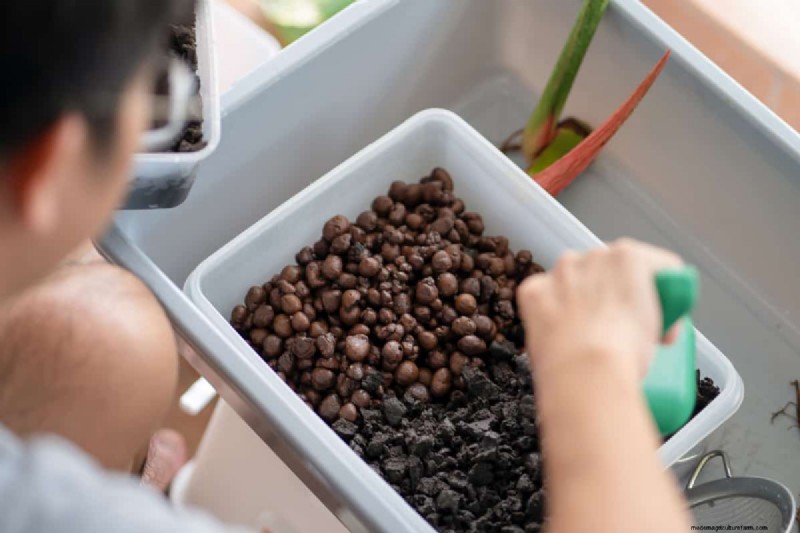 Mixing LECA and Soil: A Guide to Balanced Plant Growth