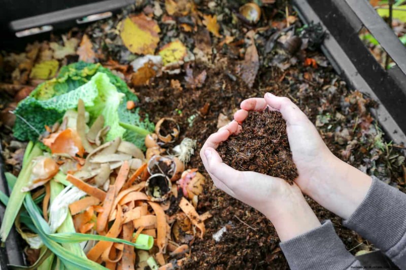 Acidic Soil for Rhododendrons: A Comprehensive Guide to Boosting Growth