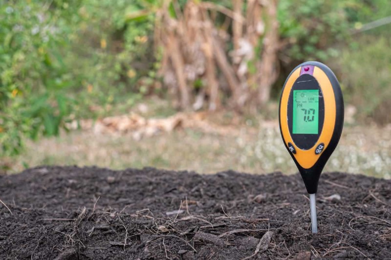 Acidic Soil for Rhododendrons: A Comprehensive Guide to Boosting Growth