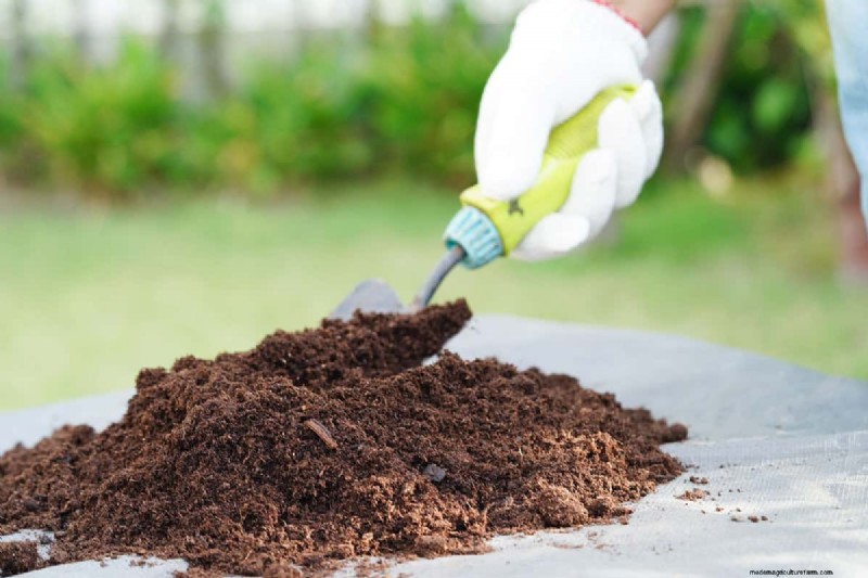 Acidic Soil for Rhododendrons: A Comprehensive Guide to Boosting Growth