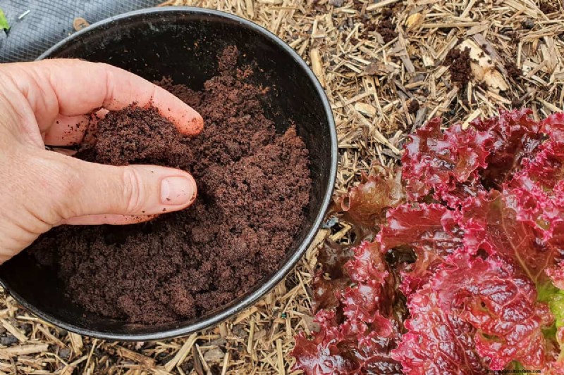 Acidic Soil for Rhododendrons: A Comprehensive Guide to Boosting Growth