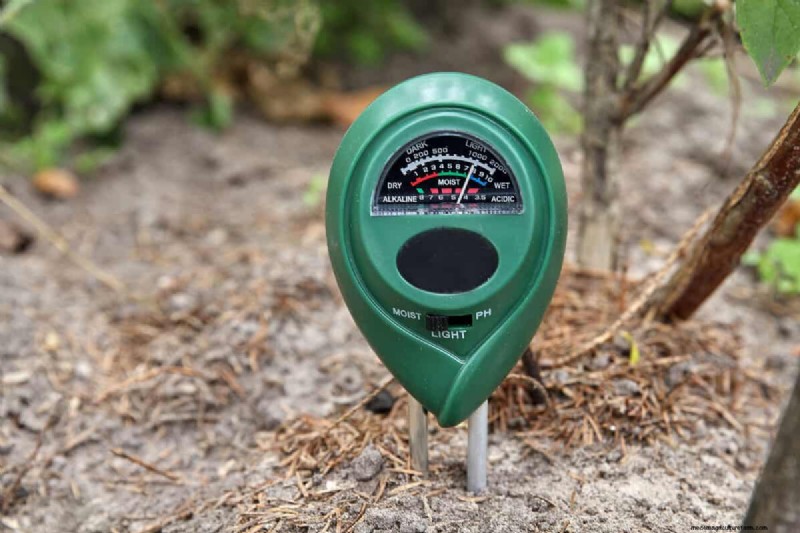 Acidic Soil for Rhododendrons: A Comprehensive Guide to Boosting Growth