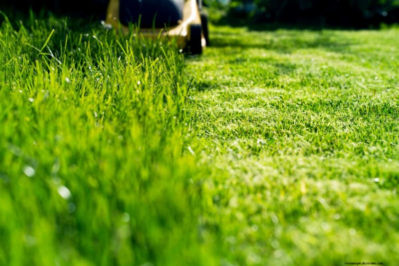 Spartan Mowers on Hills: Performance & GT Trac Technology