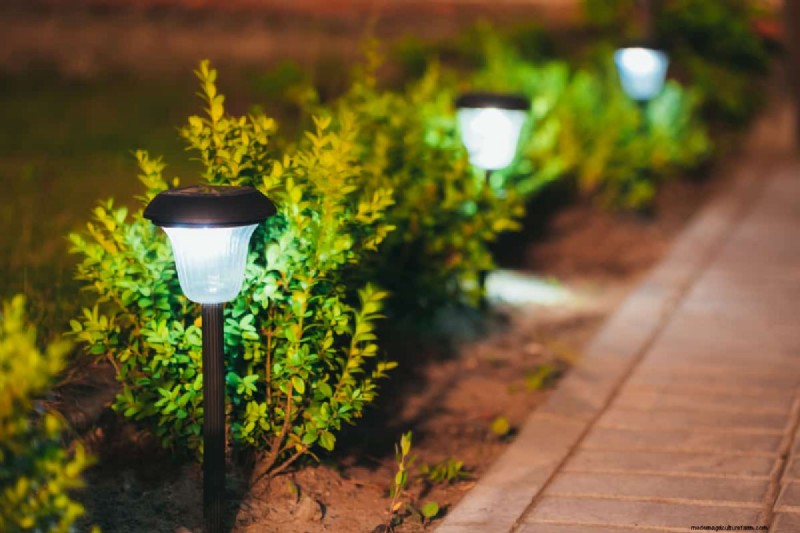 Transform Your Garden: 7 Enchanting Lighting Ideas
