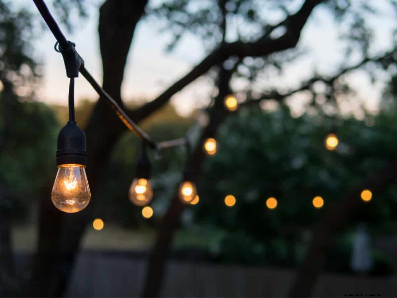 Transform Your Garden: 7 Enchanting Lighting Ideas