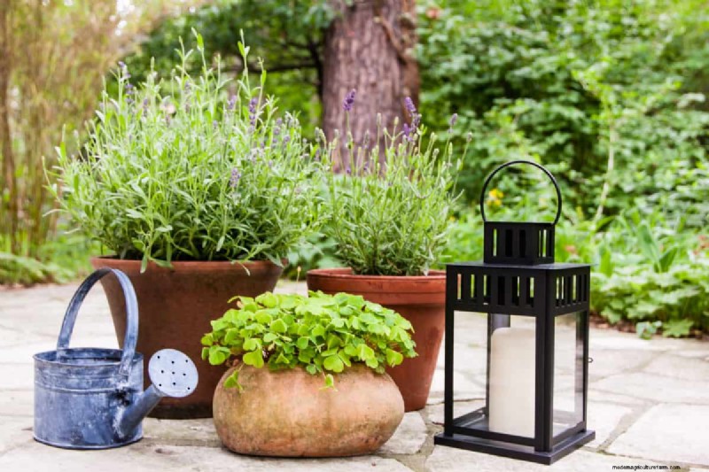 Transform Your Garden: 7 Enchanting Lighting Ideas