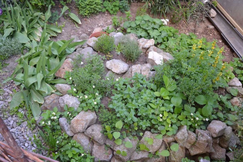 Herb Spiral Gardens: Design, Build & Grow - A Comprehensive Guide