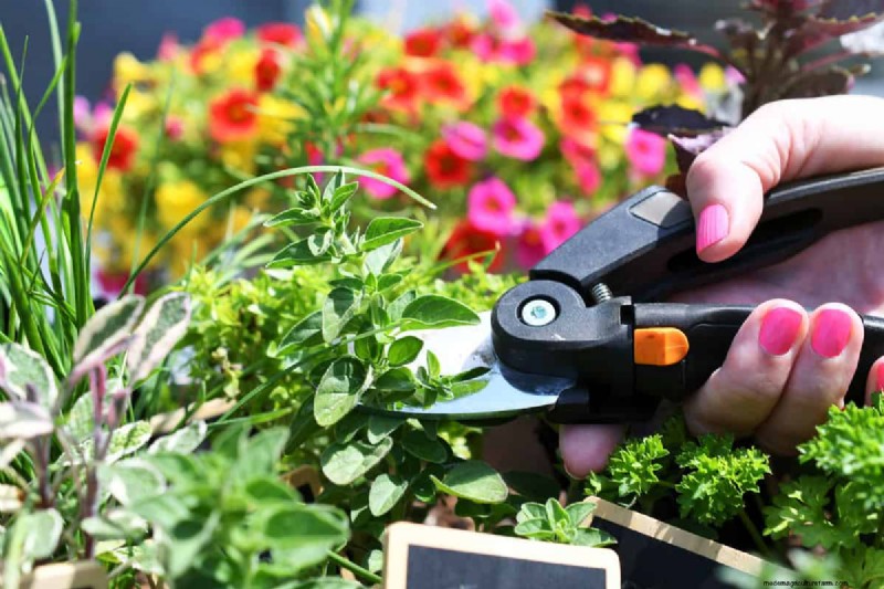 Herb Spiral Gardens: Design, Build & Grow - A Comprehensive Guide