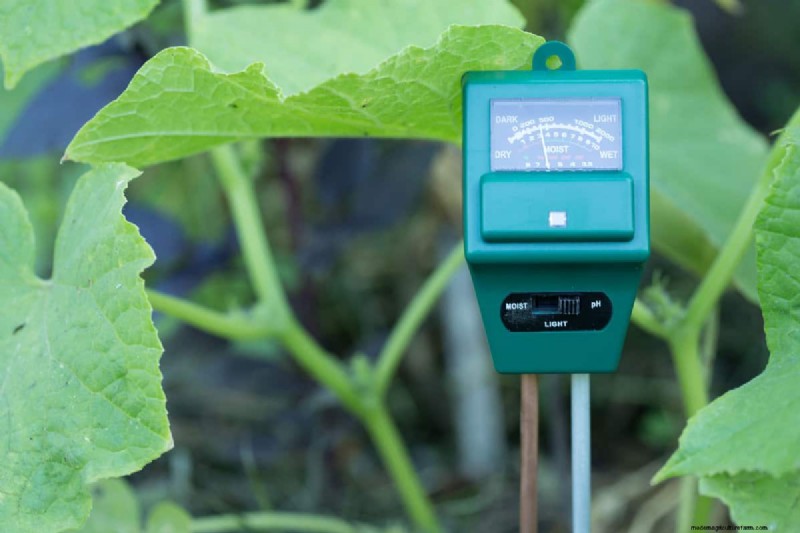Soil pH: The Key to a Healthy and Productive Garden