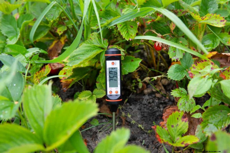 Soil pH: The Key to a Healthy and Productive Garden
