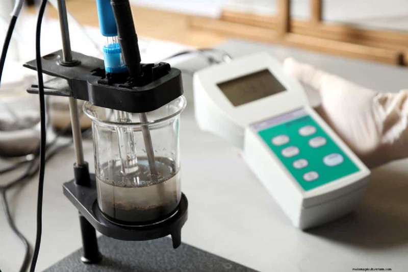 Soil pH: The Key to a Healthy and Productive Garden