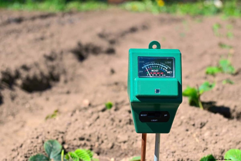 Soil pH: The Key to a Healthy and Productive Garden