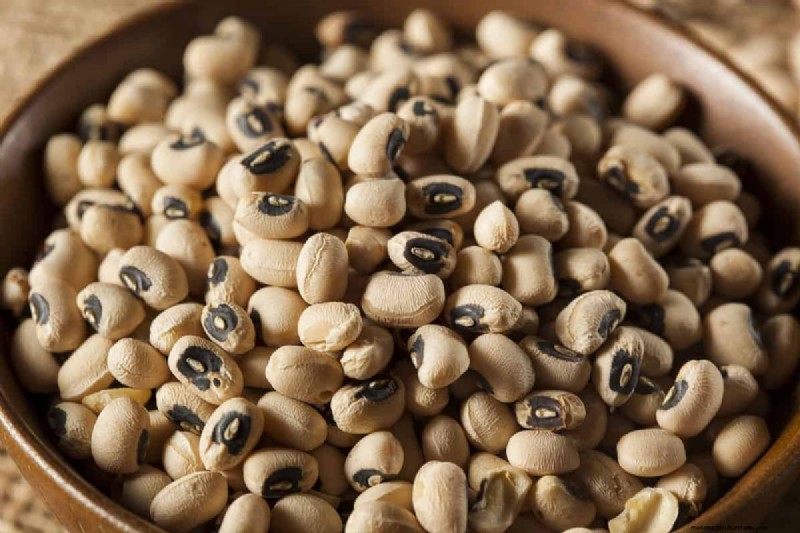 Legumes: A Gardener s Guide to 21 Varieties & Soil Health