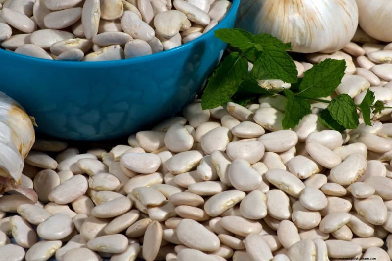 Legumes: A Gardener s Guide to 21 Varieties & Soil Health