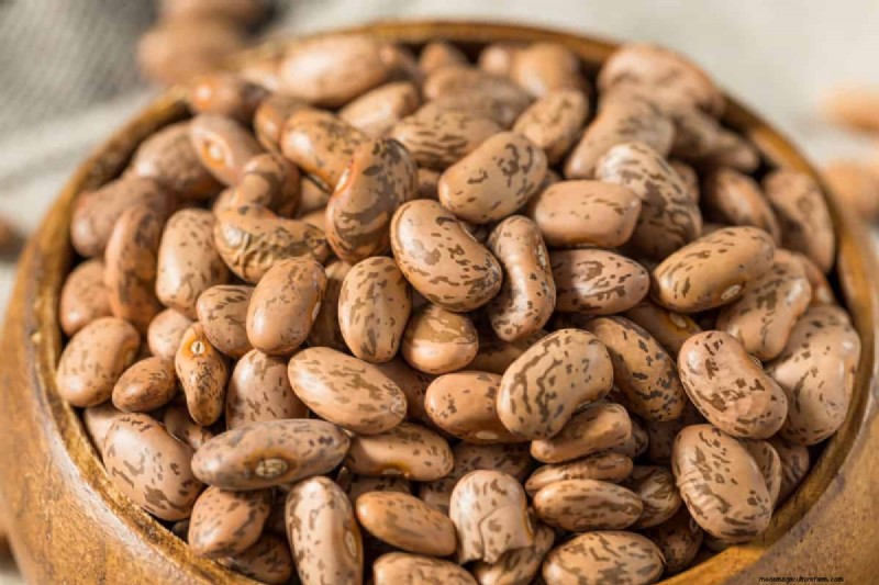 Legumes: A Gardener s Guide to 21 Varieties & Soil Health