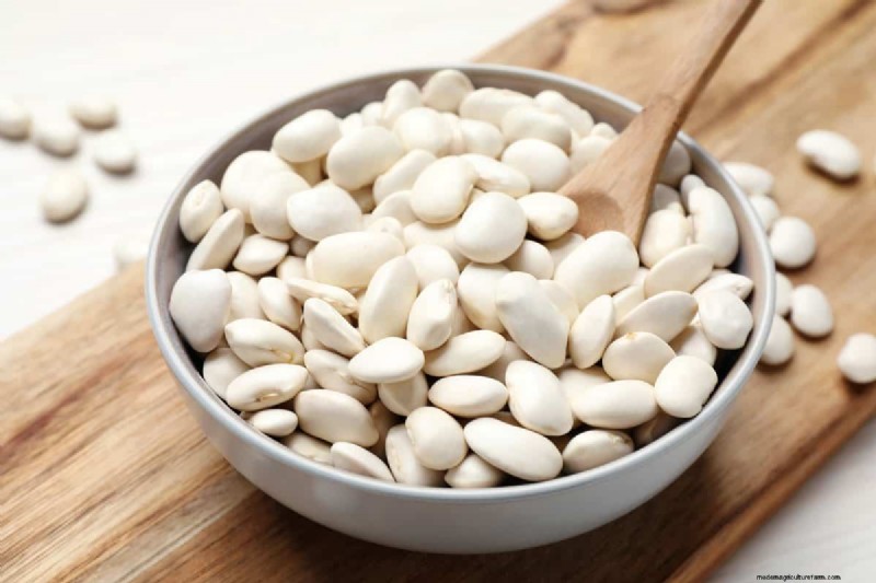 Legumes: A Gardener s Guide to 21 Varieties & Soil Health