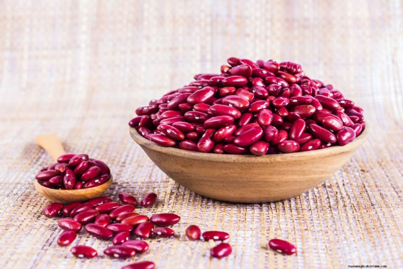 Legumes: A Gardener s Guide to 21 Varieties & Soil Health