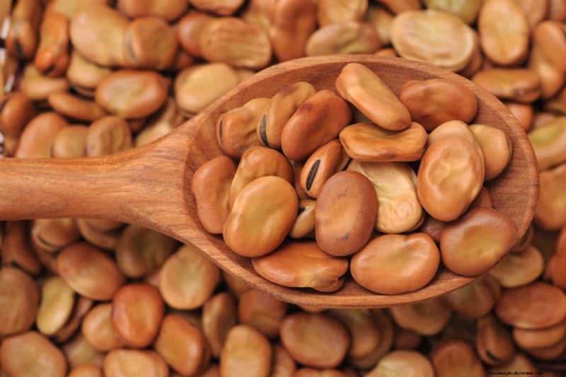 Legumes: A Gardener s Guide to 21 Varieties & Soil Health