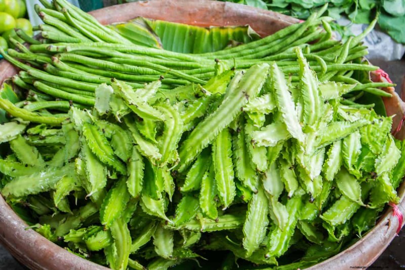 Legumes: A Gardener s Guide to 21 Varieties & Soil Health