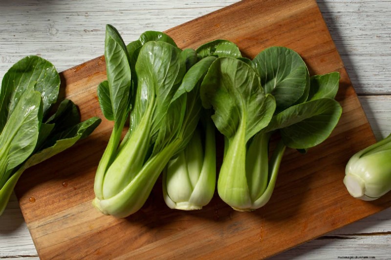 Fastest-Growing Vegetables: Top 11 for Quick Harvests