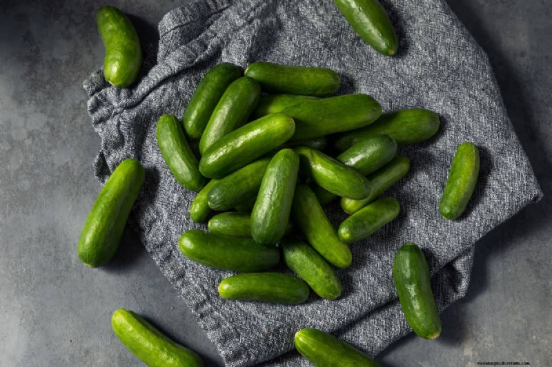 Fastest-Growing Vegetables: Top 11 for Quick Harvests