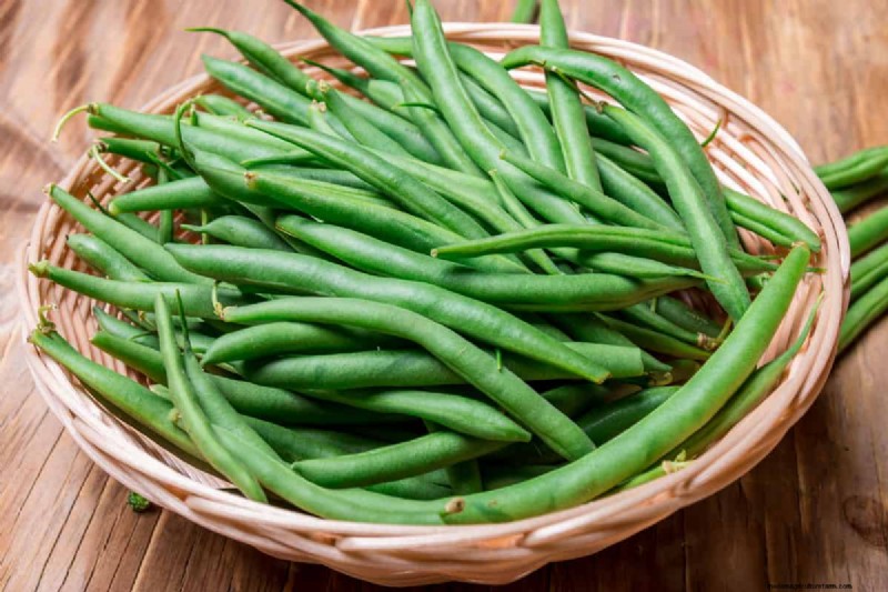 Fastest-Growing Vegetables: Top 11 for Quick Harvests