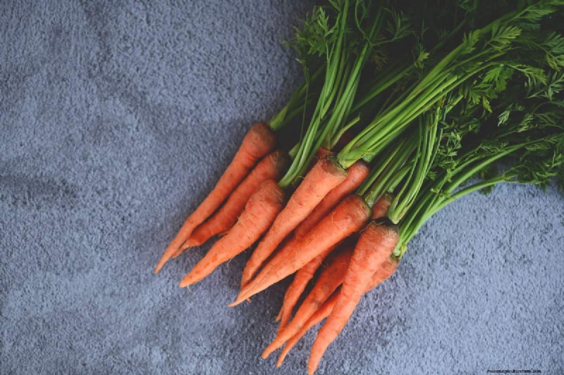 Fastest-Growing Vegetables: Top 11 for Quick Harvests