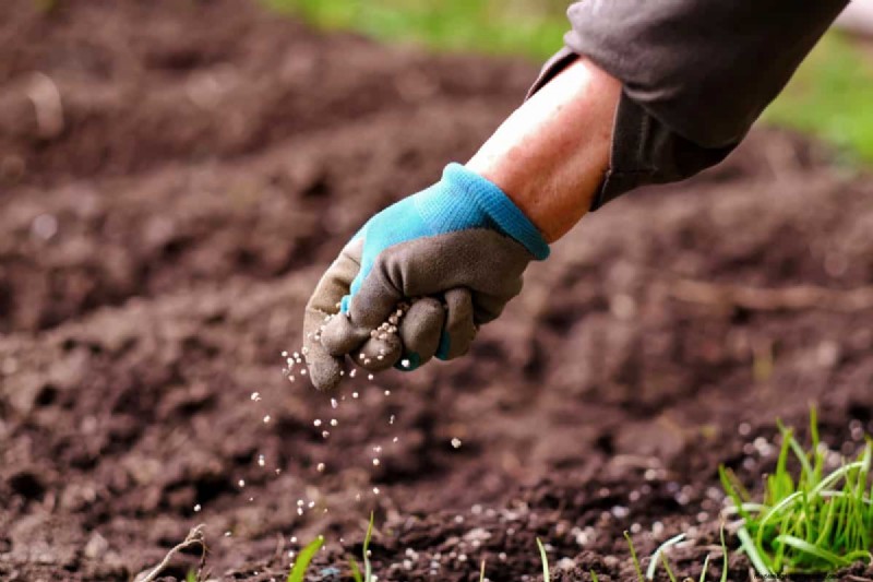 NPK Ratio: A Comprehensive Guide to Fertilizer for Plant Growth