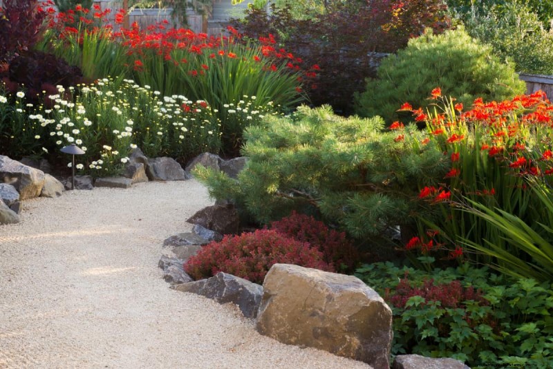 NPK Ratio: A Comprehensive Guide to Fertilizer for Plant Growth