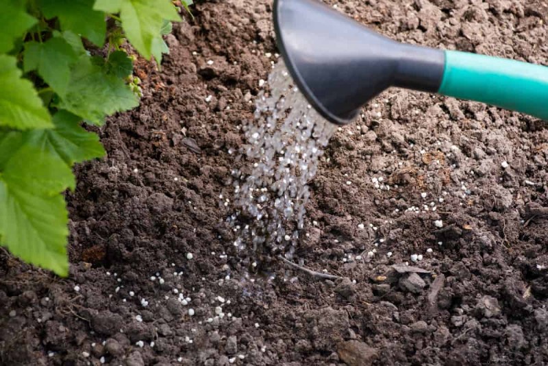 NPK Ratio: A Comprehensive Guide to Fertilizer for Plant Growth