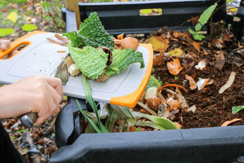 Composting Benefits: 25 Reasons to Start Today | Soil Health & Garden Tips