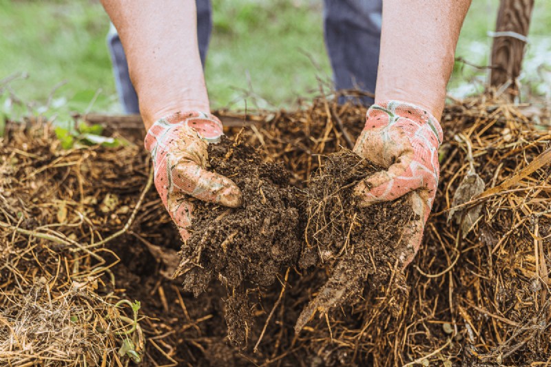 Composting Benefits: 25 Reasons to Start Today | Soil Health & Garden Tips