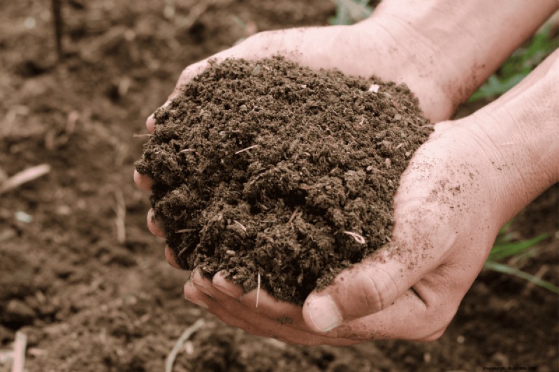 Composting Benefits: 25 Reasons to Start Today | Soil Health & Garden Tips