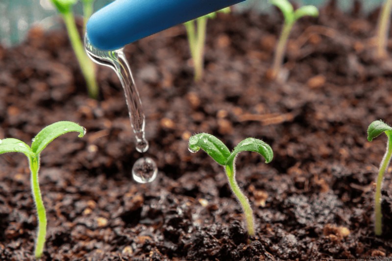 Composting Benefits: 25 Reasons to Start Today | Soil Health & Garden Tips